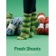 Seasons Socks Collection by Winwick Mum